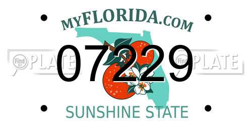 07229 Florida License Plate