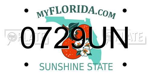 0729UN Florida License Plate