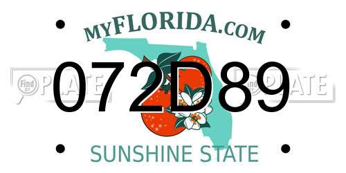072D89 Florida License Plate