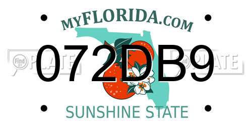 072DB9 Florida License Plate