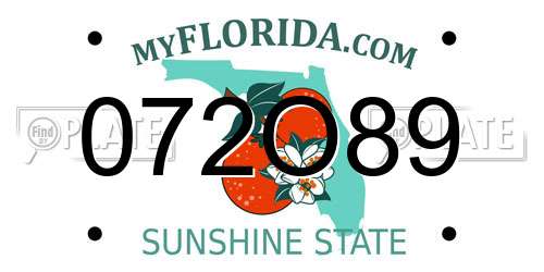 072O89 Florida License Plate