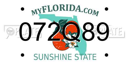 072Q89 Florida License Plate