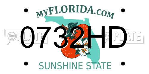 0732HD Florida License Plate