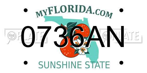 0736AN Florida License Plate