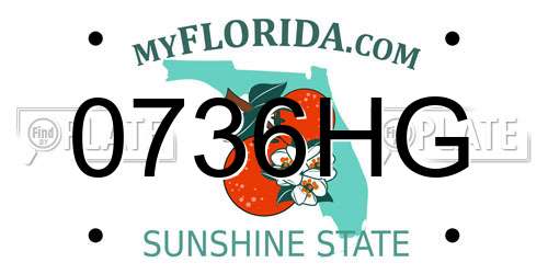 0736HG Florida License Plate