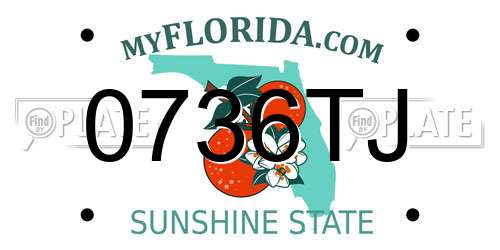 0736TJ Florida License Plate