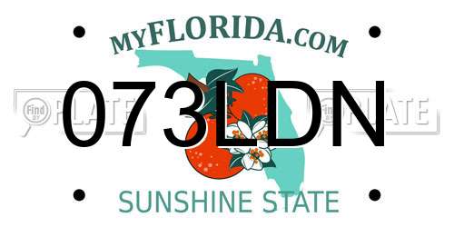 073LDN Florida License Plate