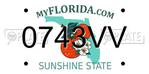 0743VV Florida License Plate