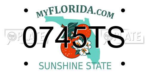 0745TS Florida License Plate