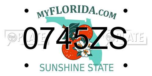 0745ZS Florida License Plate
