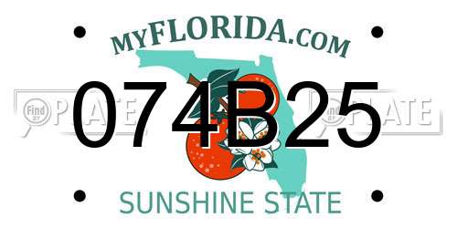 074B25 Florida License Plate