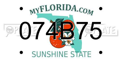 074B75 Florida License Plate