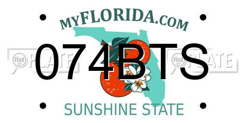 074BTS Florida License Plate