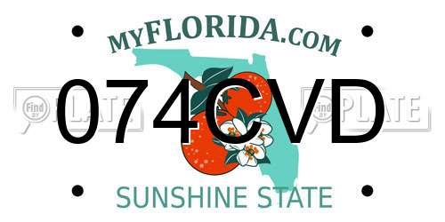 074CVD Florida License Plate