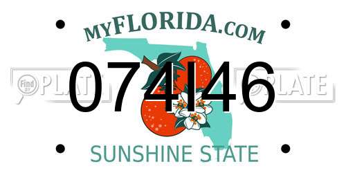074I46 Florida License Plate