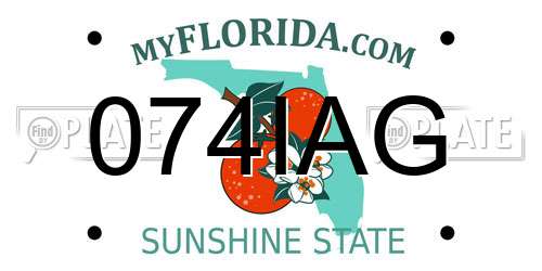 074IAG Florida License Plate