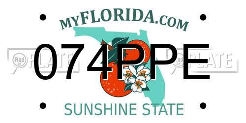 074PPE Florida License Plate