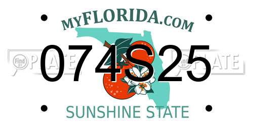 074S25 Florida License Plate