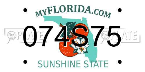 074S75 Florida License Plate