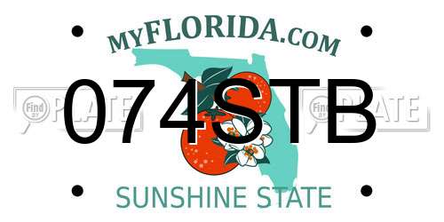 074STB Florida License Plate