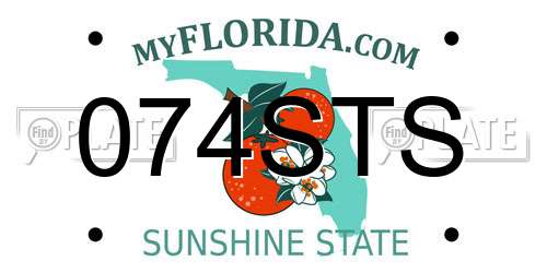 074STS Florida License Plate