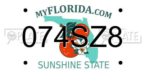 074SZ8 Florida License Plate