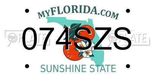 074SZS Florida License Plate