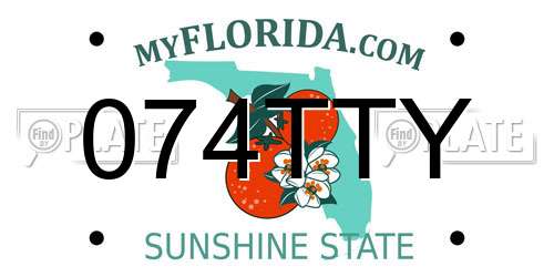074TTY Florida License Plate