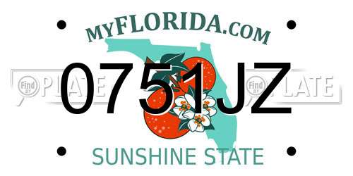 0751JZ Florida License Plate
