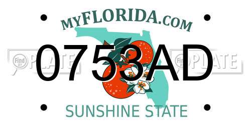 0753AD Florida License Plate