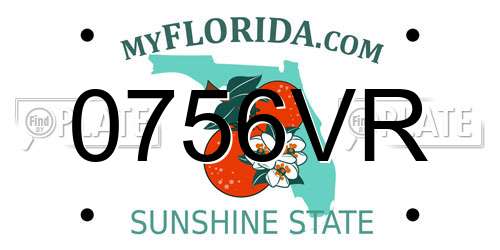 0756VR Florida License Plate