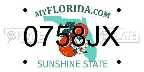 0758JX Florida License Plate