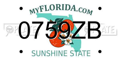 0759ZB Florida License Plate