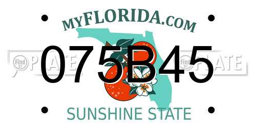 075B45 Florida License Plate