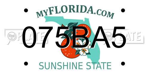 075BA5 Florida License Plate