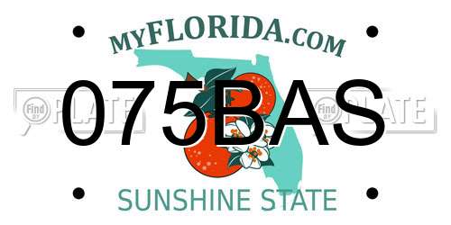 075BAS Florida License Plate