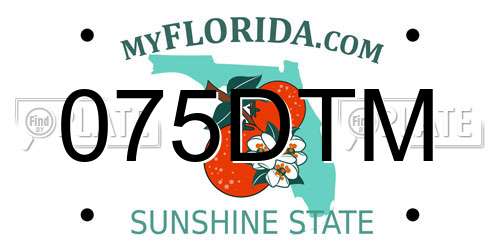 075DTM Florida License Plate