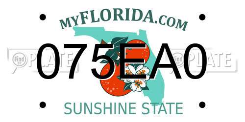 075EA0 Florida License Plate