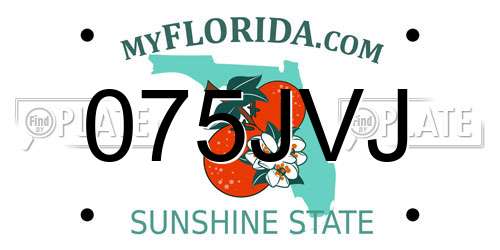 075JVJ Florida License Plate