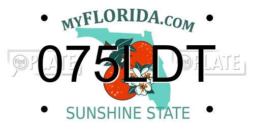 075LDT Florida License Plate