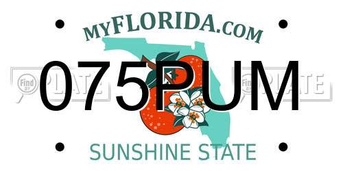 075PUM Florida License Plate