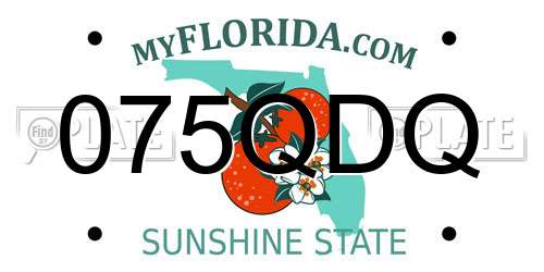 075QDQ Florida License Plate
