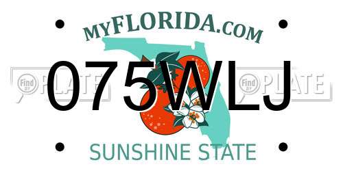 075WLJ Florida License Plate