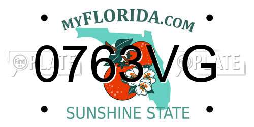 0763VG Florida License Plate