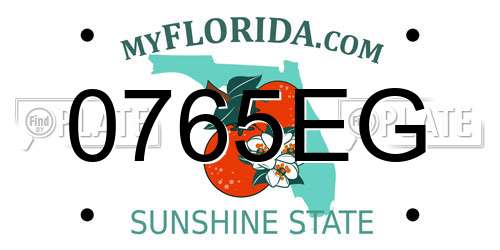 0765EG Florida License Plate
