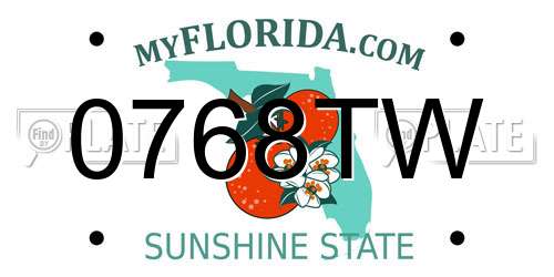 0768TW Florida License Plate