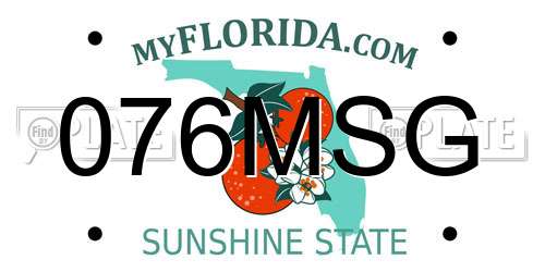 076MSG Florida License Plate