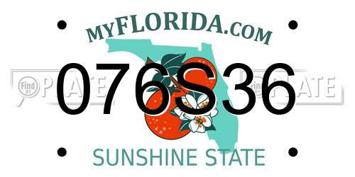 076S36 Florida License Plate