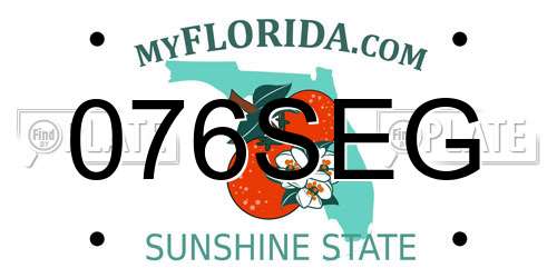 076SEG Florida License Plate