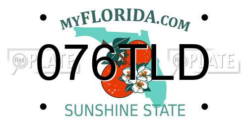 076TLD Florida License Plate